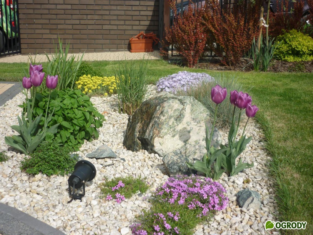 Kamienie w ogrodzie