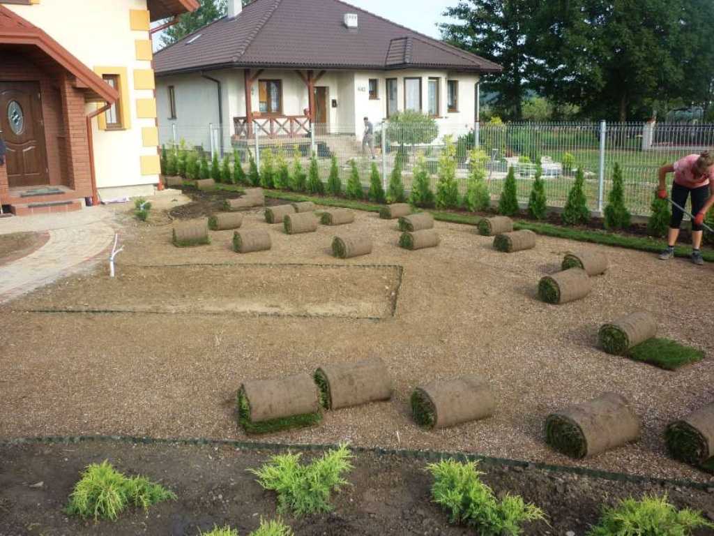 Zakładanie ogrodu z rolki Rzeszów
